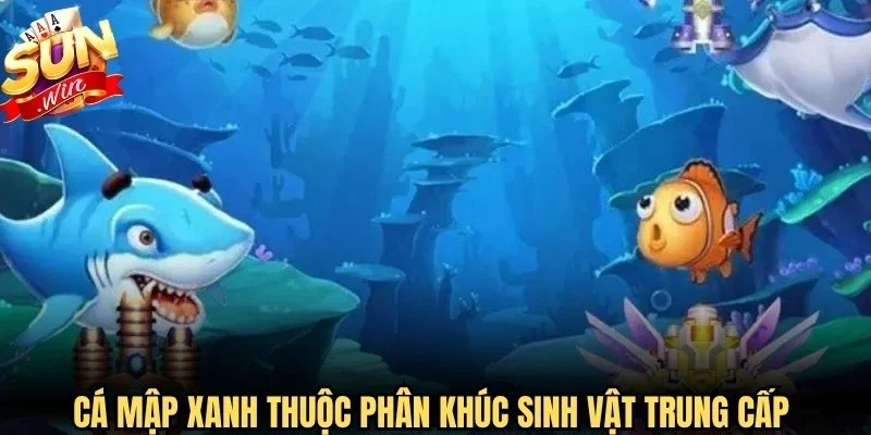 Cá Mập Xanh thuộc phân khúc sinh vật trung cấp có tỷ lệ cao