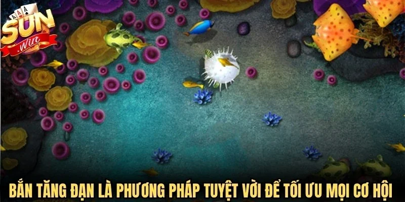 Bắn tăng đạn là phương pháp tuyệt vời để tối ưu mọi cơ hội vàng