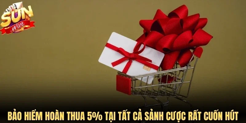 Bảo hiểm hoàn thua 5% tại tất cả các sảnh cược rất cuốn hút