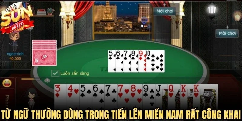 Từ ngữ thường dùng trong Tiến lên miền Nam rất công khai